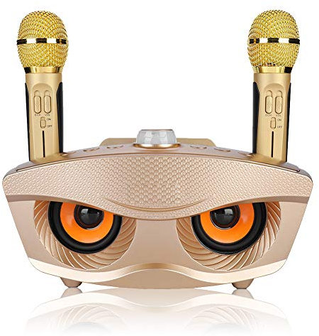 Mini Impianto Karaoke Portatile Per Home/Feste/Riunioni d'Ufficio (Bluetooth 4.2, Scheda TF, AUX, FM, Disco U, 2 Microfoni a Condensatore Palmare a Punto Singolo, Batteria Ricaricabile)