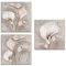 Lupia - Set 3 Pezzi Quadri su Tela Tema Floreale Canvas Day Brillant con Glitter 38x38 cm Calle Shabby