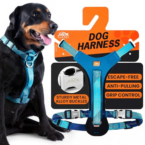 No-Pull Dog Harness with Handle - Escape Proof, Anti-Pulling, Grip Control, Multi-Angle Reflective for Safe Walks & Training, Easy On & Off, Metal Buckle–Pet Harness, Medium/Large Dogs- L-Blue