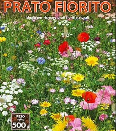Miscuglio di Semi per Prato Fiorito, Confezione da 0,5 kg ideale per 20mt qudrati, flowering meadow seeds