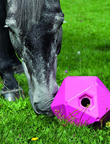 Shires Horse Pony Equine Ball Feeder Stable Toy Treat Ball Green 9