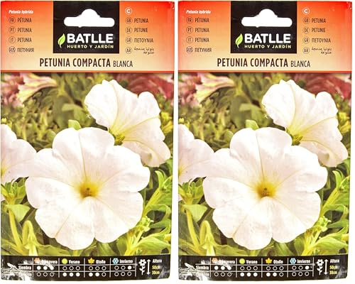 Semi di Fiori – Petunia compatta Bianca – Batlle (Confezione da 2)