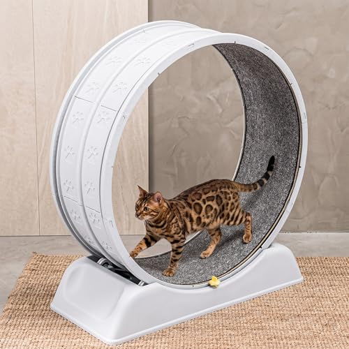 Cat Exercise Wheel ABS Running Wheel Removable Mat 79cm For Indoor Cats