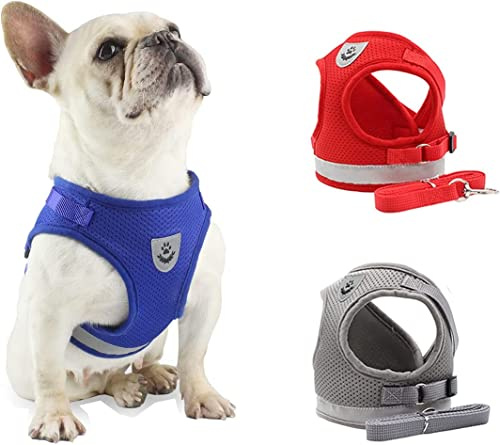 DARENYI Small Dog Harness and Lead Adjustable Dog Harnesses (Size L, Red)