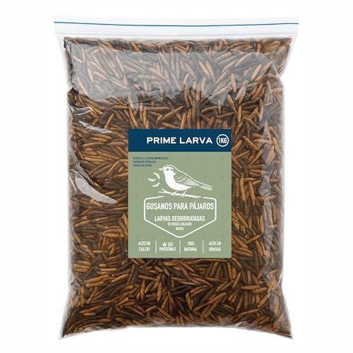 Larve di Black Soldier Fly Disidratate per Uccelli – 1 kg – Alta in Calcio e Proteine – Snack Naturale e Sostenibile