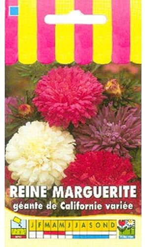 Sachet de graines de Reine Marguerite géante de Californie variée - 0,8 g - LES GRAINES BOCQUET