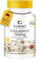 L-Glutamin Kapseln - 3000mg L-Glutamin pro Tagesdosis - vegan & hochdosiert - Freie Form - 120 Kapseln | Warnke Vitalstoffe - Deutsche Apothekenqualität