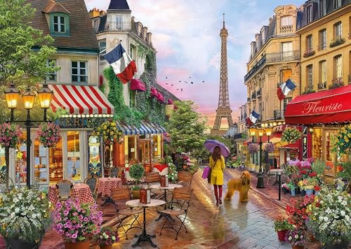 Jigsaw Puzzles for Adults 1000 Piece Paris Street 27.56 x 19.69 Inch Jigsaw Puzzle for Adults Educational Game 1000 Pieces Paris Puzzles for Adult