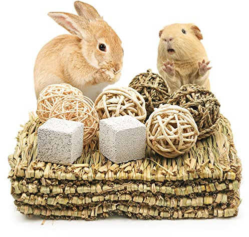 4 Stück Kaninchen-Kratzmatte mit verschiedenen Hamster-Anreicherung, Kaninchenzähne, Schleifen von Backenzähnen, Rennmäuse, Hamster, syrischer Hamster, Meerschweinchen (Matte + Ball)