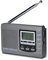 Songway Full Band AM/FM/SW DSP Radio Stereo Loudspeaker LCD Display Alarm Clock Sleep Timer Pocket Radio Digital Demodulation Best Reception with Telescopic Antenna (Grey)