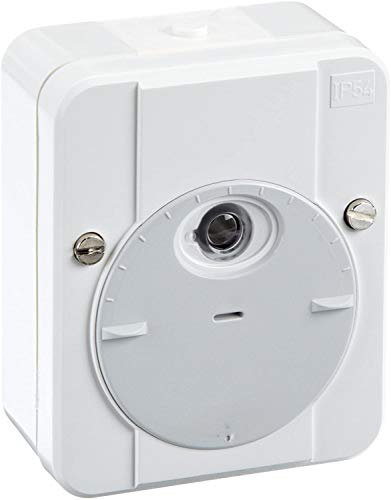 Merten 1466506 544819 ARGUS Dämmerungsschalter, mit Schaltverzögerung, polarweiß