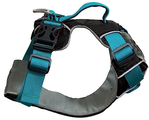 Sotnos Car Safety Travel Harness Teal Medium
