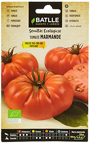 Semillas Ecológicas - Tomate Marmande Raf (85 Seeds - Bio), Vert