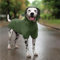 Navaris Regenmantel Regenjacke für Hunde - Regenmantel Hund wasserdicht - Hundemantel Hunderegenmantel Regencape aus PU und Polyester - Dog Raincoat - Grün - L