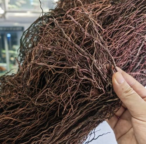 YZHZOM 240g Aquarium Driftwood Roots - Bushy Tank Wood for aquascaping - Perfect for Fry, Shrimp or Terrarium,Natural Wood Roots for Aquarium aquascaping