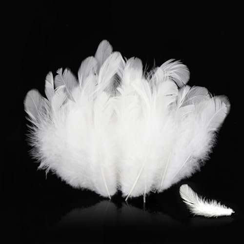 Federn, 200 Stück 7-12cm Federn zum Basteln, Natürliche Feder, Bastelfedern Set für Masken, Traumfänger, Ohrringe, Kunsthandwerk, Hochzeiten, Zuhause, Ostern, Erntedankfest und Halloween (Weiße)