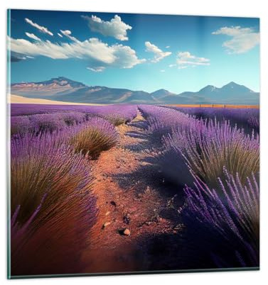 Decoracion Salon Lavanda Horizonte Paisaje Vidrios decorativos 50x50cm Cuadro Sobre Vidrio Moderno Dormitorio Cocina Cuadros Pared Impresiones Impresión en Cristal Wall Art Prints Decor GAC50x50-5812