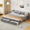 Zravenna Ausziehbares Schlafsofa 90/180x200 cm mit 2 Schubladen, Tagesett Ausziehbar zum Doppelbett, Holzbett mit Stauraum und Lattenrosten, Kiefer, Grau
