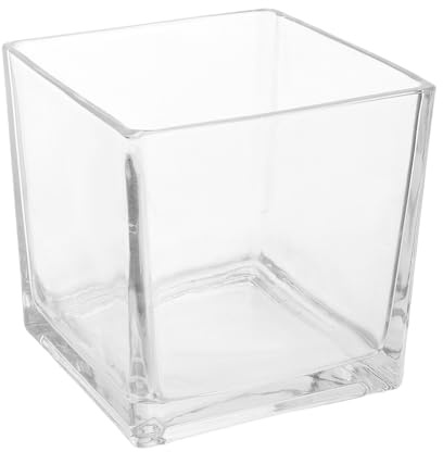 SHINYPASING Jarrón Cristal Cuadrado de Vidrio Grueso para Plantas Hidropónicas y Flores, Decoración Moderna para Sala y Dormitorio Diseño Único y Duradero