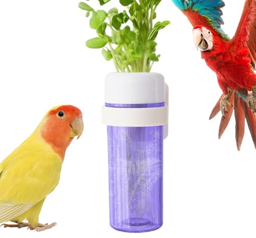 Dtaigou para Loro de Jaula,De Verduras para Periquitos con Depósito De Agua - Suministros para Alimentación de Aves Mantiene Verduras Frescas para Periquitos Agapornis y Loros