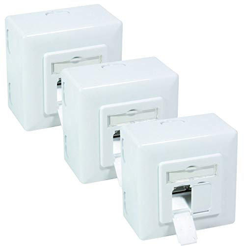 BIGtec 3 x Netzwerkdose Aufputz Unterputz CAT.6a 2 x RJ45 Buchse universal LAN Dose POE PoE+ fähig signalweiß RAL9003 geeignet für Verlegekabel Netzwerk-Kabel CAT8 CAT7 CAT6a CAT6 CAT5