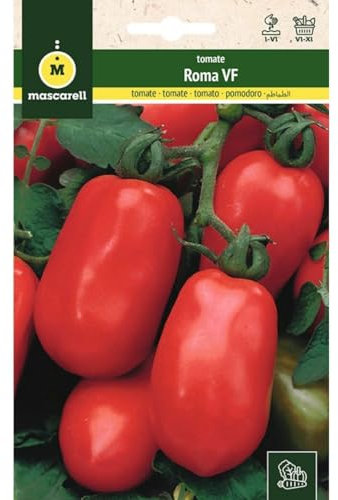 Mascarell Semillas, TOMATE, Semillas Huerto, TOMATE ROMA VF PERA, Crea tu Propio Huerto Urbano y Cultivo en Casa, Plantas Hortícolas, 1 Gramos