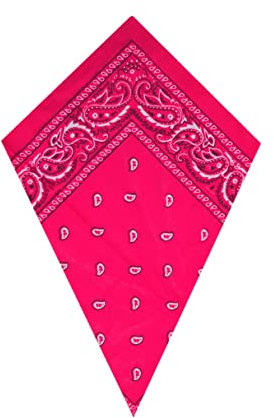 Neon Pink Paisley Bandana Head Scarf Headbands Handkerchief Cowboy Cotton Bib Party Face Covering Headwear For Motorcycling Mens Womens Unisex