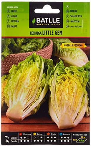 Semillas Batlle – Laitue Romaine Petite Bourgeon