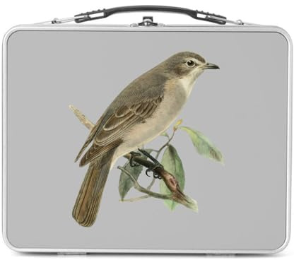 Fabulous Lunch Box Métal Argenté pour Sandwich et Snack - Oiseau Perché Planches Biologie Faune Illustration Ancienne - Boîte à Goûter Aluminium Gamelle Rigide Style Rétro Imprimée en France