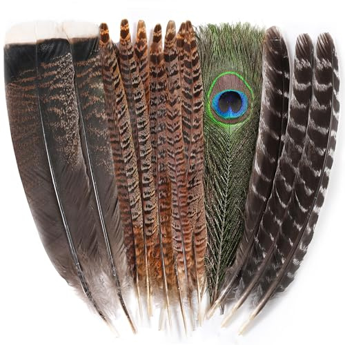 Ballinger Large Pheasant Bird Craft Feathers,8-12inch,4 Styles,15Pcs