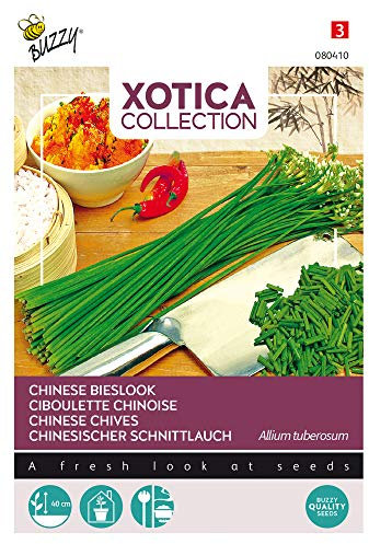Buzzy Seeds 080410 Chinesischer Schnittlauch (Schnittlauchsamen)