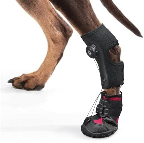 Focket Tutore per piede cadente con rotella, fascia di compressione antiscivolo per l'articolazione del garretto, scarpe correttive per cani per sollevare le dita dei piedi (L)