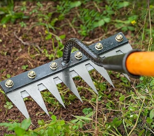 5/6/7/8 Dents Râteau de Désherbage Berthaus,Outil de Râteau de Désherbage de Jardin Multifonction en Métal pour Désherbage, Ameublissement du Sol, Semis (5 Dents)