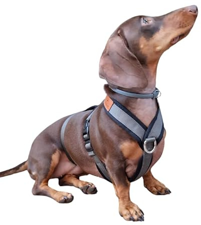 Imbracatura a 3 punti anti-scappamento anti-scappamento – Ideale per Lebreles: levriero italiano, whippet, levriero, podenco – Sicuro, traspirante e durevole – Perfetto per camminare, allenare e