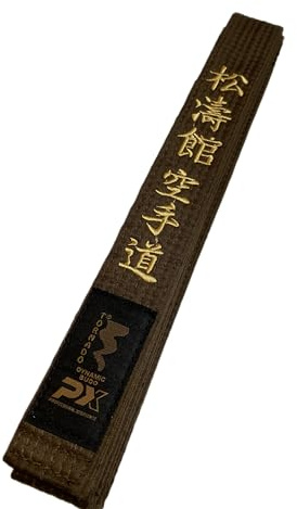TEKKA BUDO Ceinture de karaté marron – Brodée – Shotokan Karate Do – 280 cm – caractères brodés dorés – sangle marron kanji japonais – ceinture marron