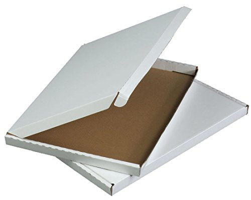 triplast C4 Taille maximale 332 x 245 x 20 mm blanc PIP Grande boîte lettre postale en carton pour Royal Mail (Lot de 100)