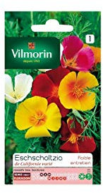 Vilmorin - Sachet graines Eschscholtzia de Californie varié