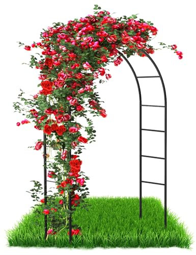 Arche de jardin en métal pour plantes grimpantes et roses, en acier revêtu par pulvérisation, résistante aux intempéries, 240 x 140 x 38 cm