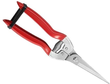 Podadora manual de jardinería, tijeras podar con micropunta, jardín, floristería rectas