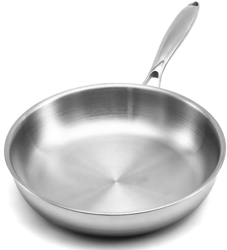 WANGYUANJI 10.2 Stainless Steel Frying Pan for 1-3 Servings, Tri-Ply Skillet for Searing Steaks & Frying Eggs, 18/10 (304) Induction Pan, Oven Safe Up to 500°F