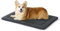 BEDSURE waschbar Hundematte Mittelgroße Hunde - 89x58 cm Hundekissen mittelgroße Hunde mit hochdichter Schaumstofffüllung, Sherpa-Plüsch waschbar Hundematratze, dunkelgrau