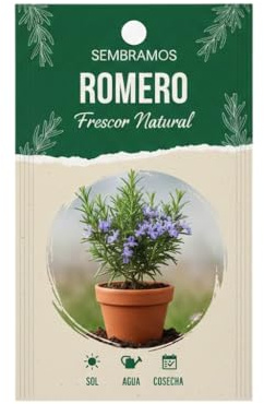Romero Aromático Mediterráneo para Cultivar Fácilmente | Semillas DECOALIVE para Jardineros Principiantes