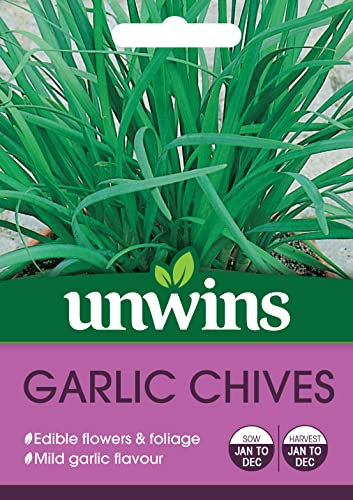 Unwins Herb Garlic Chives Seeds