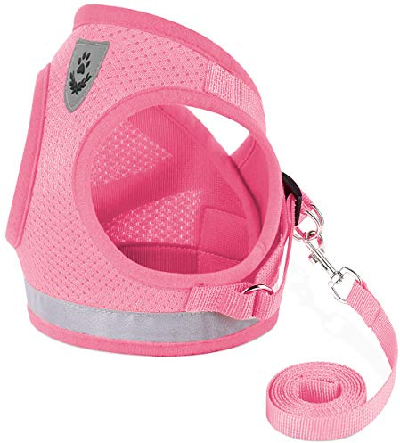 Cat Harnesses and Puppy Harness with Leashes Set, Escape Proof Cat Harness, Adjustable Reflective Soft Mesh Vest Fit Puppy Kitten Rabbit Ferrets's Outdoor Harness