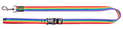 bub's Guinzaglio per cani con tre posizioni normali, cintura e tracolla larghezza 25 mm, lunghezza da 1,15 m a 2 m (Rainbow)