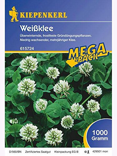 Weissklee Gründünger 1kg