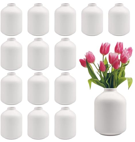 15 pièces de 9,65 cm de vases en céramique blancs pour bourgeons de fleurs en vrac, petits vases Boho en vrac pour fleurs, mini vases pour centres de table pour fleurs séchées, herbe de pampa pour