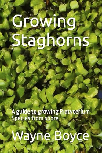 Growing Staghorns: A guide to growing Platycerium Species from spore