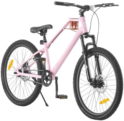 LSLIFE Kids Mountain Bike for Girls, 24 Inch Kids Bicycle for 11-15 Years Old Girl with Cup Holder Shock Absorber Girls Mountain Bicycle with Dual Disc Brake (Pink, 24 Inch)