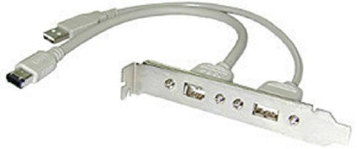 Lindy USB/FireWire Adapter 2X USB-A M/FM 2X 6-Pin Firewire M/FM Gris - Adaptador para Cable (2X USB-A M/FM, 2X 6-Pin Firewire M/FM, Male Connector/Female Connector, 0,3 m, Gris)